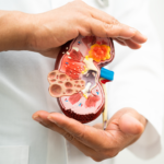 MSC-CM and Its Potential in Kidney Disease Treatment