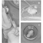 What is MSC-CM and how does it work?