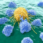 NK cell therapy: Autologous and from cord blood