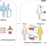 Revolutionizing Developmental Disorder Treatment with Mesenchymal Stem Cells (MSCs) at Future Biomed Bangkok Rejuvenation Center